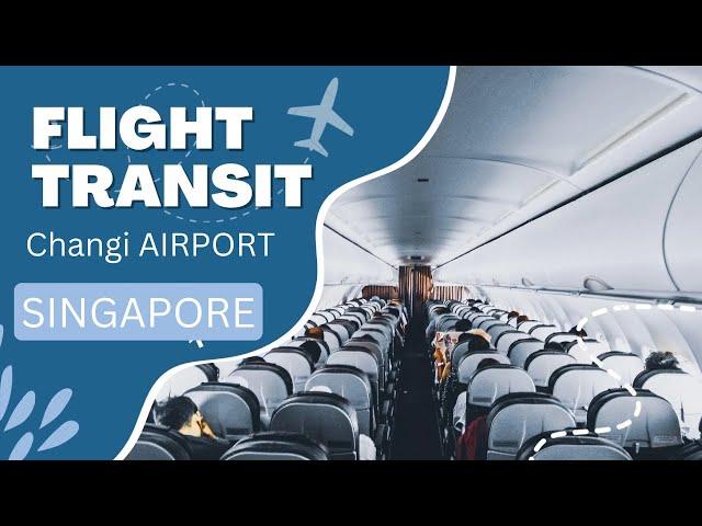 How to Transit at Singapore Changi Airport - Connecting Flight Transfer