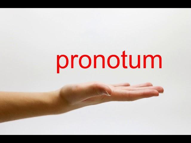 How to Pronounce pronotum - American English