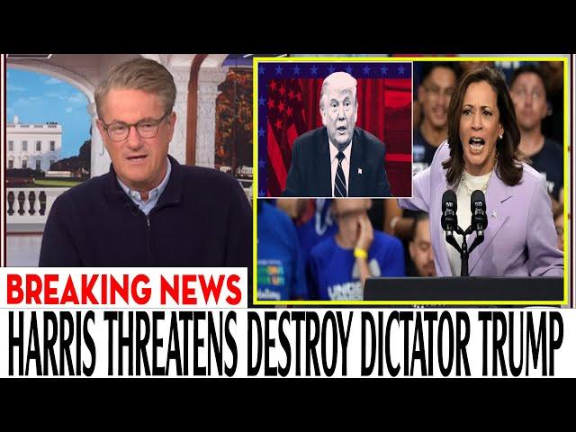 Morning Joe [6AM] 10/24/2024 | ️ BREAKING NEWS Today october 24, 2024