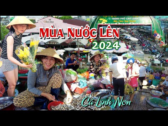 Mùa Nước Nổi 2024 Cảnh Tượng Không Ngờ Chợ Cá Đồng Lớn Nhất Cao Lãnh Khác Lạ