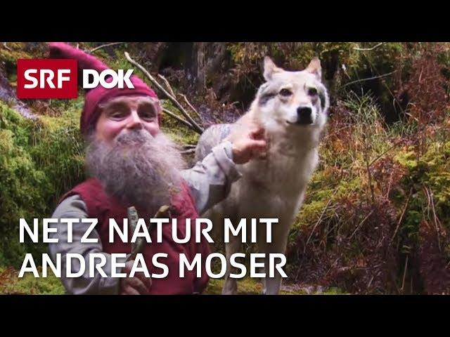 Wahrheiten über Märchentiere | NETZ NATUR mit Andreas Moser | DOK | SRF Wissen