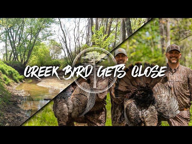 Turkey Hunting-  Gobbler Comes to 6 YARDS in a CREEK