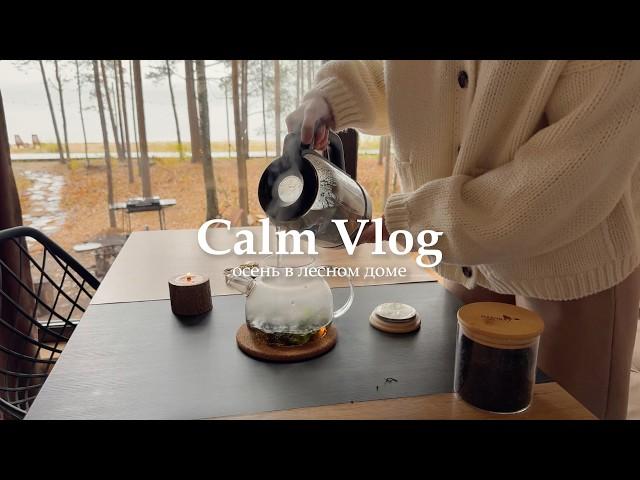 AUTUMN COZY VLOG: forest house, mulled wine recipe, conversations about life, reading (calm vlog)