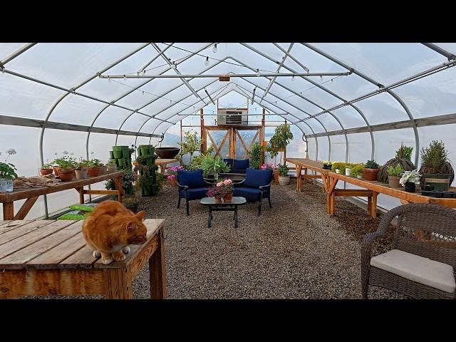 Cleaning Out the Greenhouse! (It Was Such a Mess!) 🪴 // Garden Answer