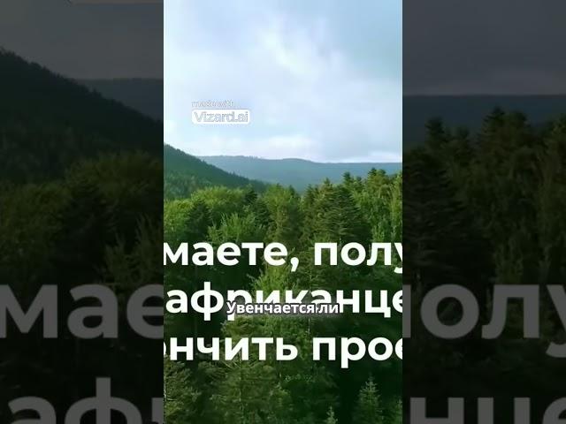 Надежда Великая Зеленая стена