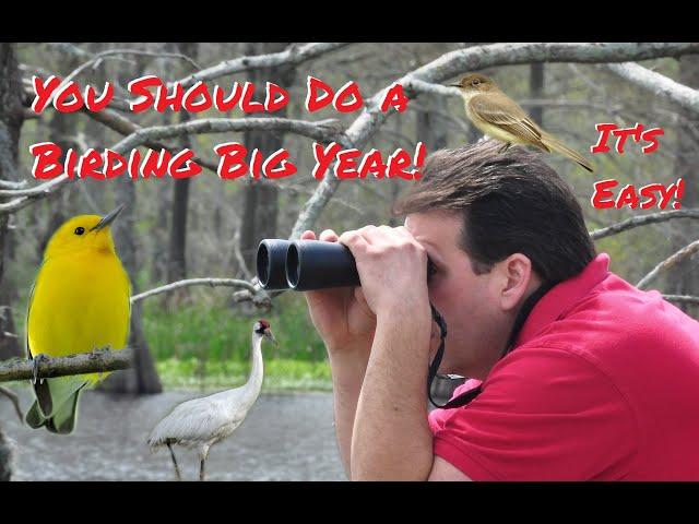 Do a Birding Big Year!