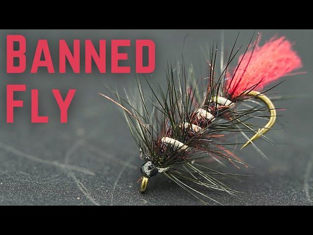 Banned Lure “Too Productive”?!?