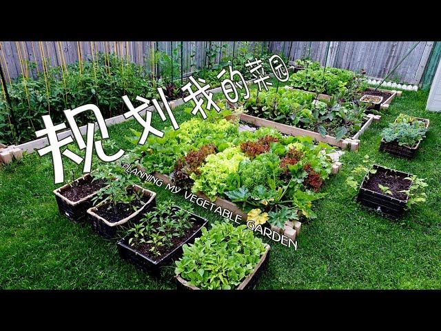 规划我的菜园（立体种植 共生种植 70+种蔬菜一次性落户到菜床）PLANNING MY VEGETABLE GARDEN  (70+ kinds of vegetables )