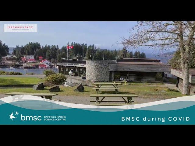 BMSC during COVID