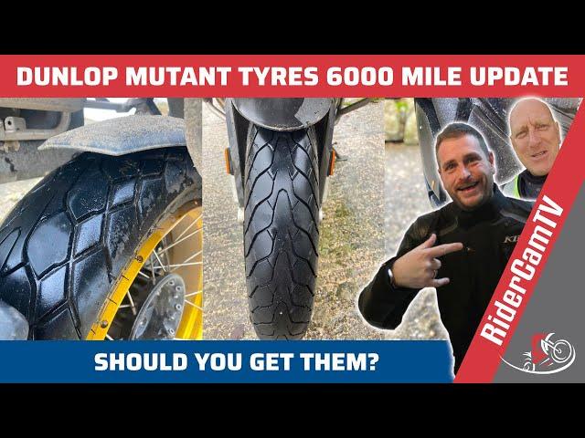 Dunlop Mutant - The Crossover Tyres | Update after 6000 Miles | In The Wet!