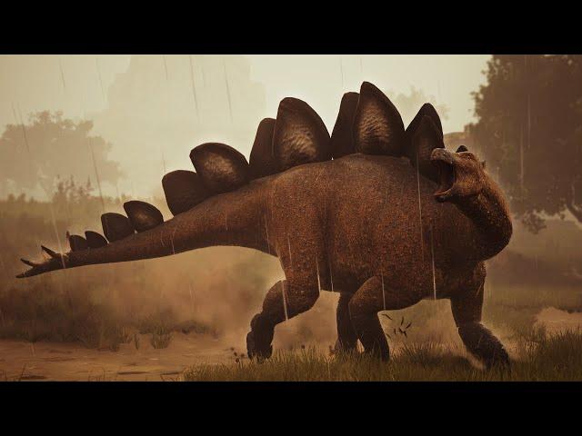 The Solo Stegosaurus Experience