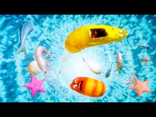 WILD, WILD WORLD | LARVA | Cartoons for Kids | WildBrain Blast