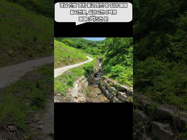 멋진 풍경 경남 산청 조용한 토지 임야 매매