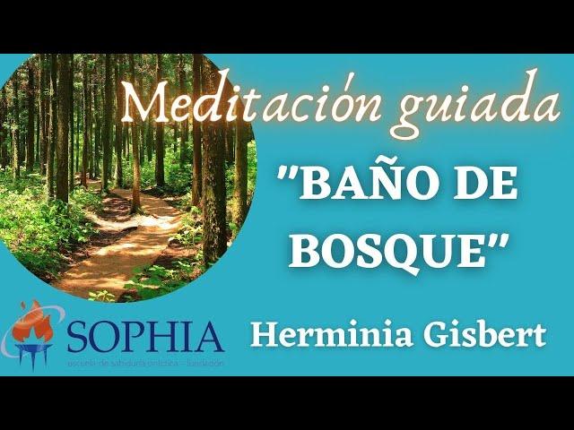 Meditación "BAÑO DE BOSQUE" por Herminia Gisbert