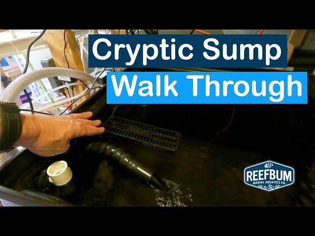 Cryptic Sump Walk Through