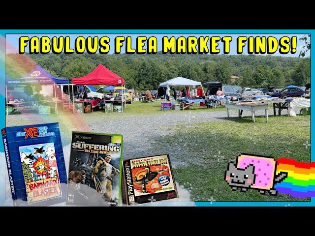 These Game Deals Were FABULOUS!  || Flea Market Video Game Hunting!