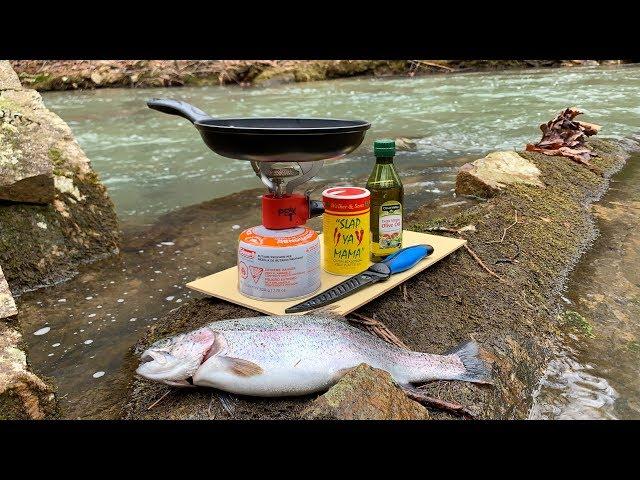 Creek Side TROUT CATCH and COOK