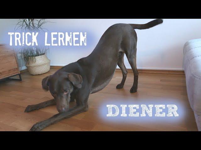 TRICK LERNEN .... DIENER