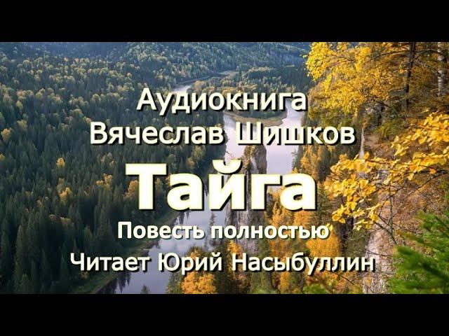 Аудиокнига Вячеслав Шишков "Тайга" Повесть все части полностью Читает Юрий Насыбуллин