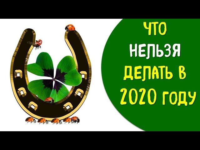 Что нельзя делать в 2020 году в год крысы