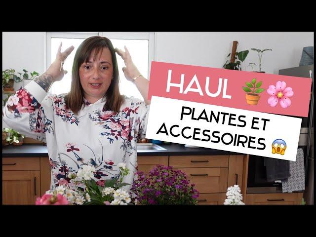 Haul Plantes🪴 et accessoires | J'ai fait le plein de belles choses | Le petit jardin de Bob