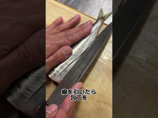 1 minute explanation! I'll explain how to open sardines in a super easy way! [Sashimi / Fried] #S...