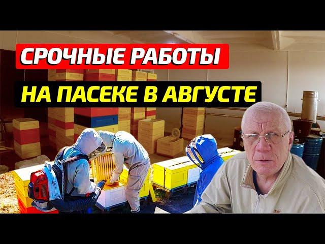 Во время отобрать мед из улья Откачка меда Линия по откачке меда