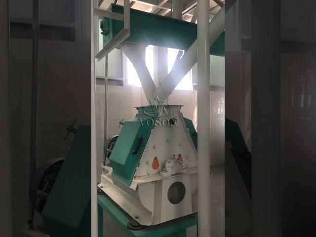 Завод по переработке кукурузы 100 тонн/сутки | Линия по производству кукурузной муки 