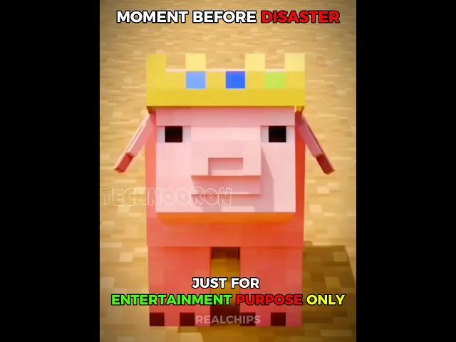 Technoblade Minecraft Skull face edit