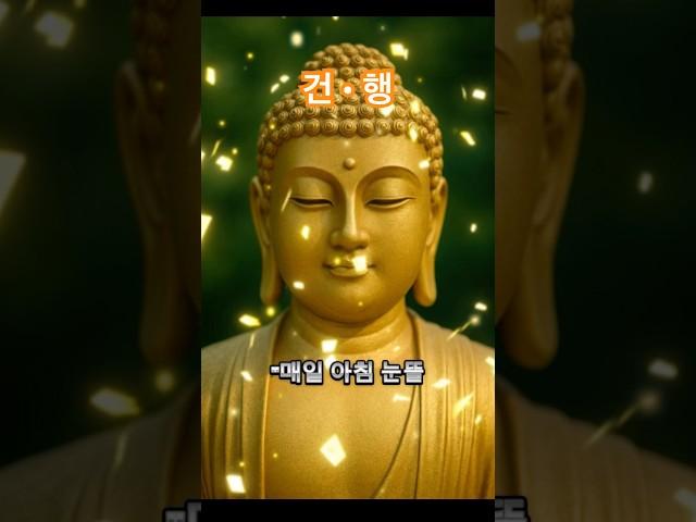 건강과 행복 #부처님말씀 #좋은글 #붓다 #불교 #말씀 #건행