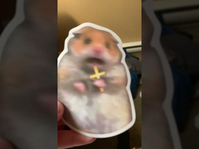 New hampter sticker![scared hampter edition] #memes #funny #elgato #hamsters