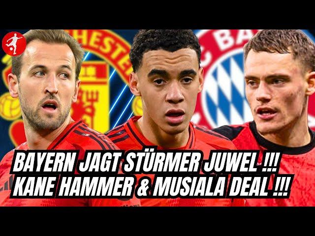 FC BAYERN jagd MEGA STÜRMER | Kane Transfer & Musiala Hammer | ManCity Wirtz Transfer? | Buli News