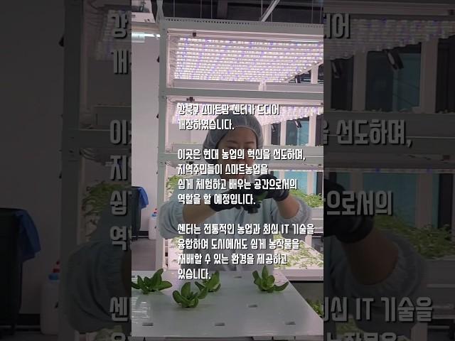 강북구 스마트팜 신선한 야채 자판기로 구입 미디어기자 정민두