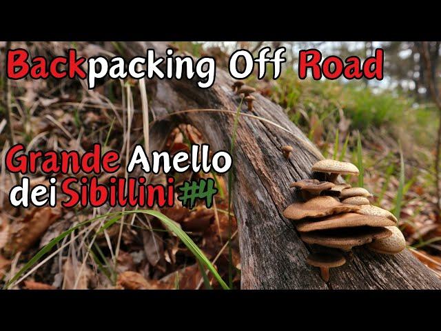 Backpacking Off Road - Grande Anello dei Sibillini #4 - da Pignotti a Castelluccio