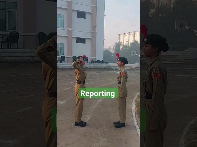 How to report your senior cadet  #ncc #trending #viral #shortvideo #shorts