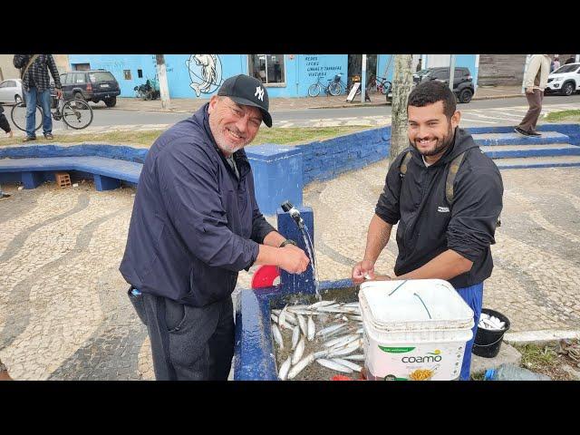 Pesca de muitas sardinhas! Ponte Giuseppe Garibaldi, Imbé, Tramandaí, RS. #pesca #sardinha #fishing