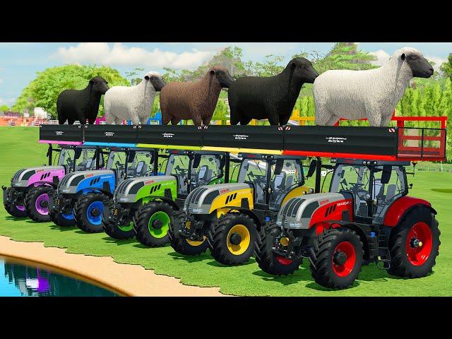 TRANSPORTING SHEEPS WITH STEYR TRACTORS & TATRA TRUCKS - Farming Simulator 22