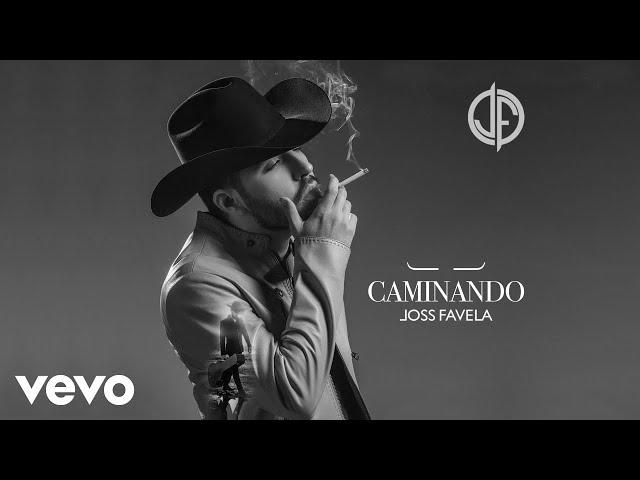 Joss Favela - Quiero (Mariachi - Audio)