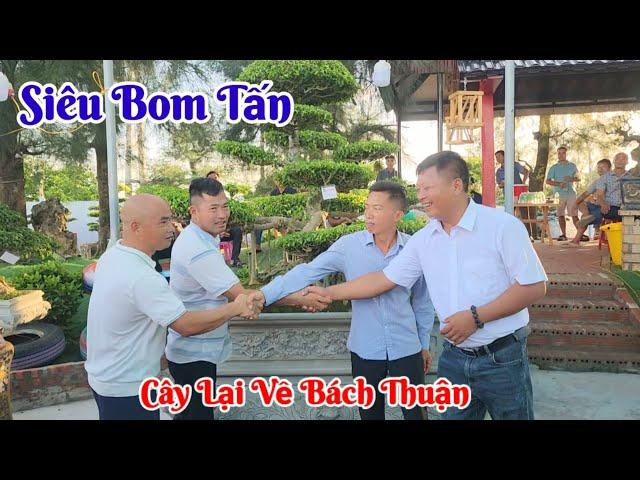 Siêu Phẩm Trực cổ đã GD về HTX Cây cảnh Bách Thuận