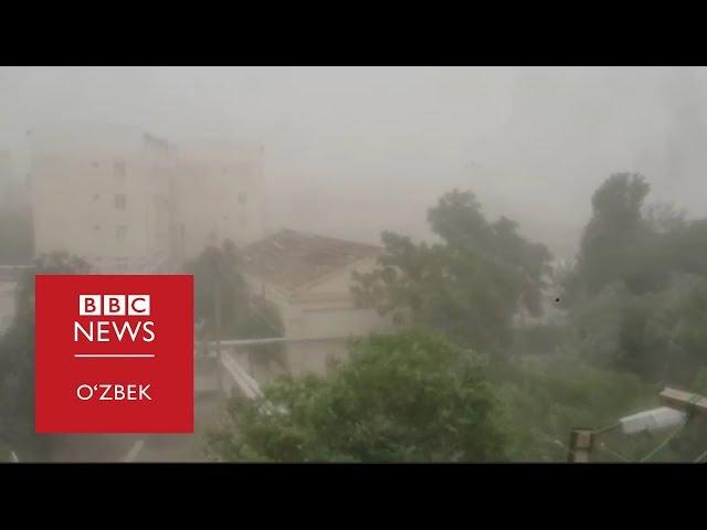 Хоразмга қум бўрони ёпирилди - BBC UZBEK