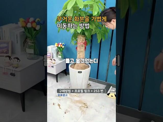프로필링크에서 253번 제품 구매 #화분 #꿀템  #다이소