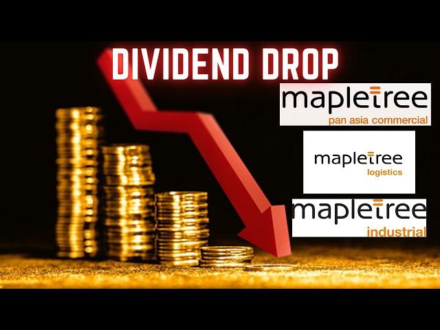 Mapletree Reits Q1 FY25 - Blue Chip Reits with dropping dividends