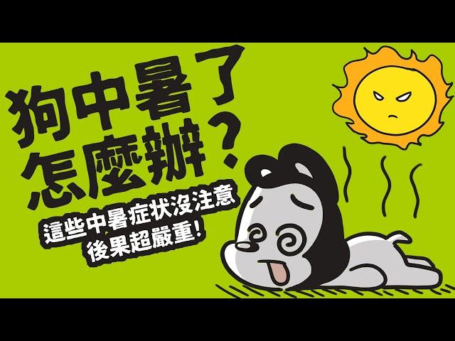 狗與鹿 ｜狗中暑了怎麼辦？ |  狗中暑沒有及時發現，後果超嚴重～～狗狗中暑的緊急處理、日常預防、消暑食療