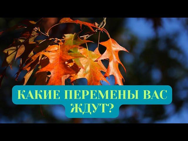 КАКИЕ ПЕРЕМЕНЫ ВАС ЖДУТ?