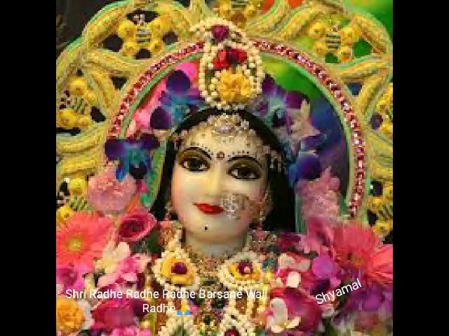 Shri Radhe Radhe Radhe Barsane Wali Radhe   Beautiful Radha Rani Bhajan.|VIPULMUSIC