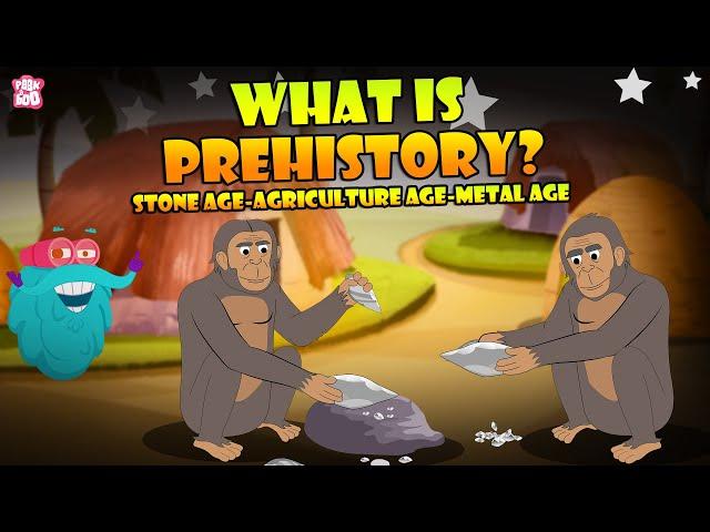 The Stone Age Man | Life Millions Of Years Ago | The Dr Binocs Show | Peekaboo Kidz