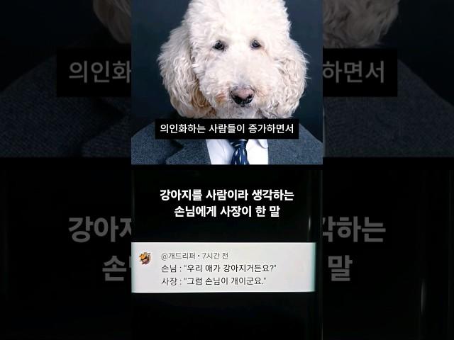 강아지를 사람으로 생각하는 손님에게 사장이 한 말 #SHORTS