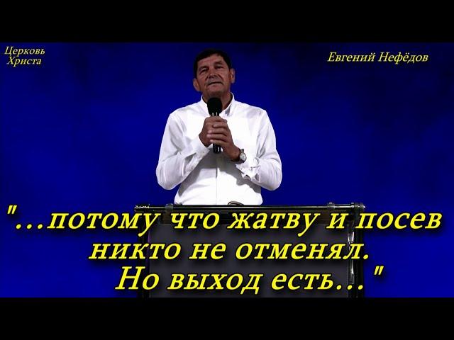 "…потому что жатву и посев никто не отменял. Но выход есть…" 27-10-2024 Евгений Нефёдов