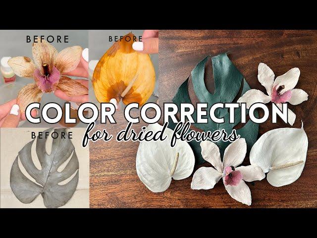 Color Correct Dried Flowers, Resin Flower Color Correction Preserved Flower Painting & Airbrushing