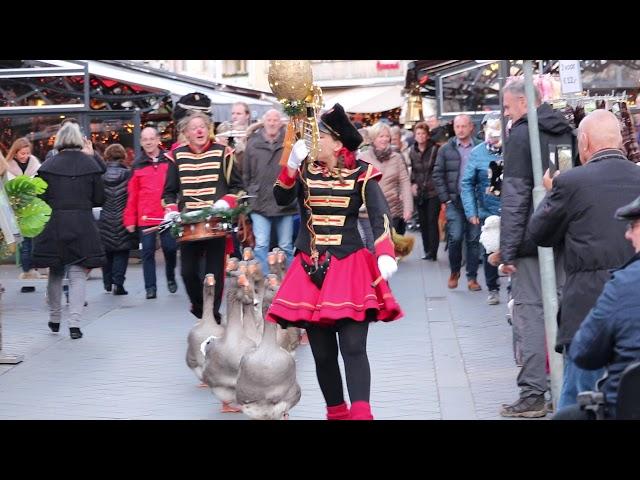 Geese Parade  in valkenburg   holland